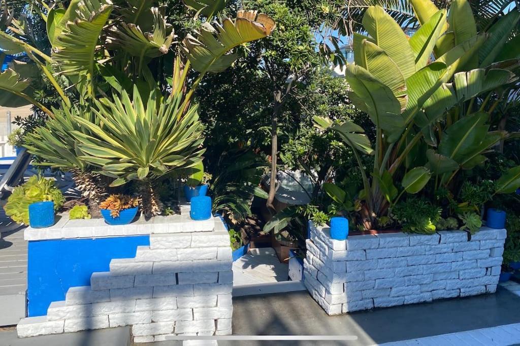 90210 Beach House Lower Unit Hermosa Beach Esterno foto